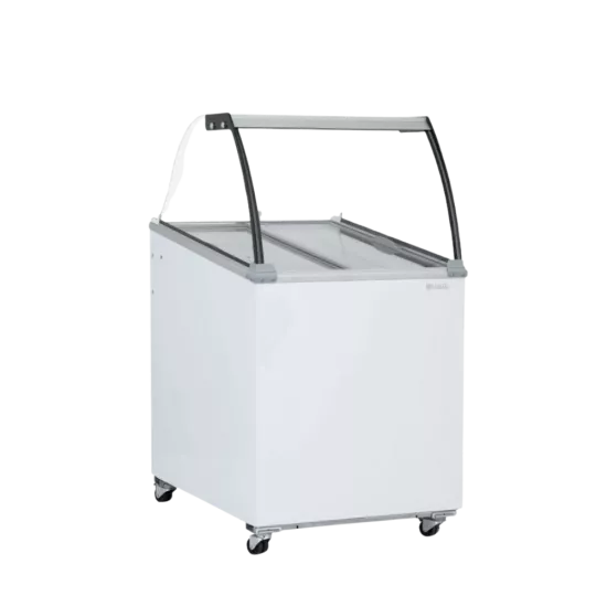 UDR 6 SCE Dondurma Teşhir Reyonu