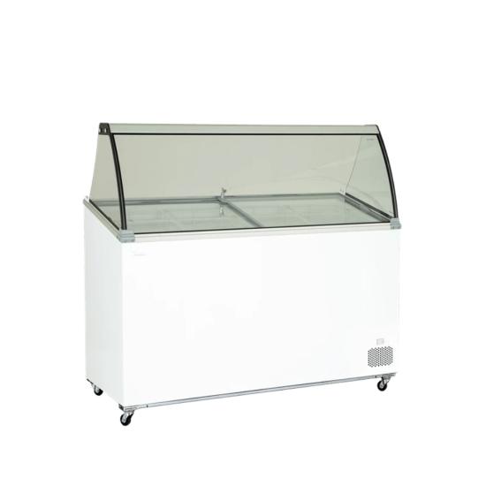 UDR 8 SCE TS R21 Dondurma Teşhir Reyonu