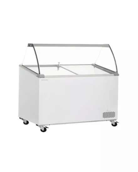 UDR 7 SCE TS R21 Dondurma Teşhir Reyonu