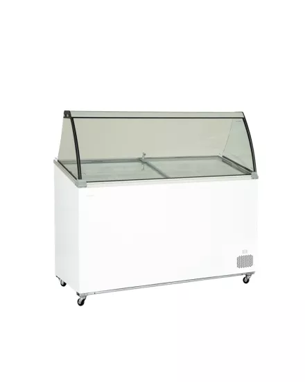 UDR 8 SCE TS R21 Dondurma Teşhir Reyonu